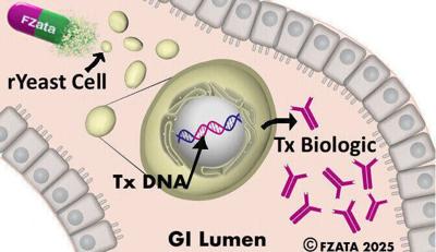 Fzata FZ002 recombinant yeast express DNA payload and secrete therapeutic protein in the GI.