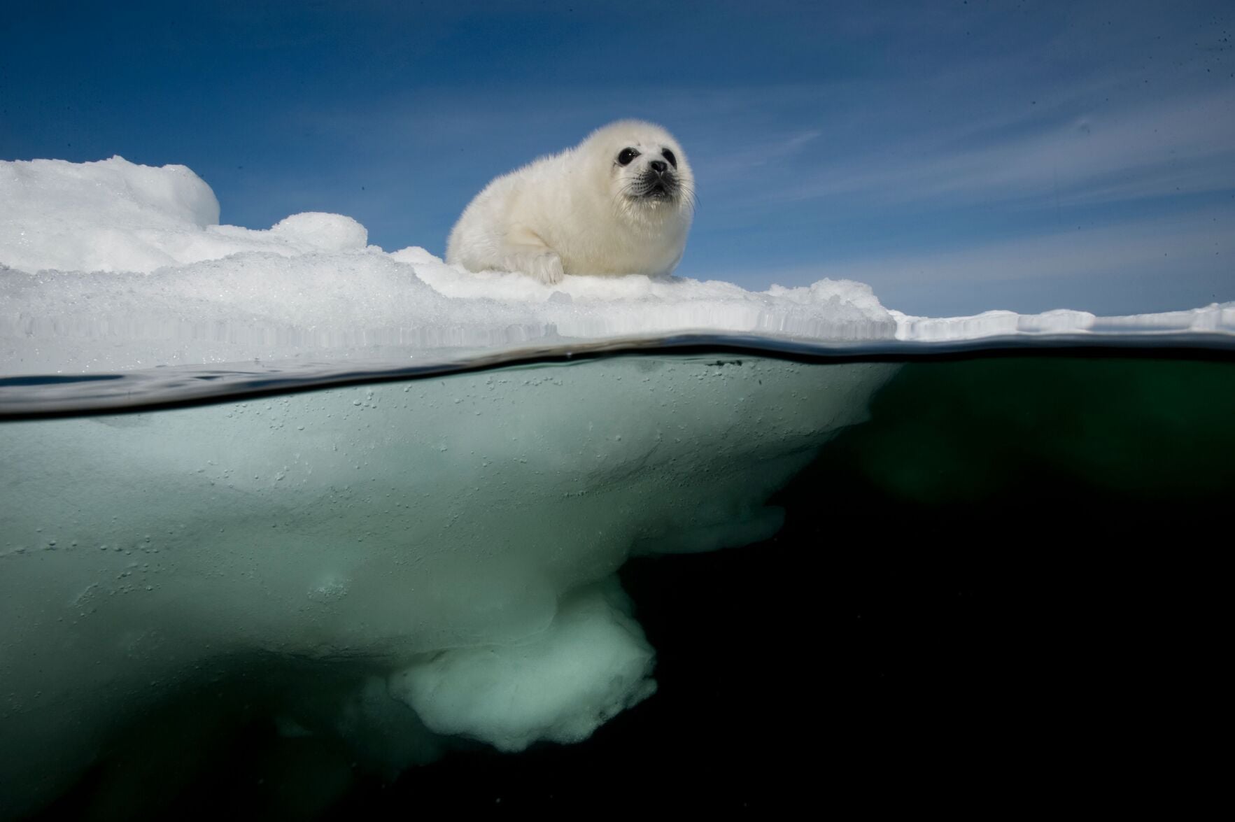 National Geographic live