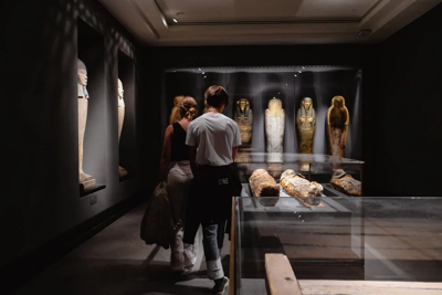 Chicago's treat free admission days at city museums