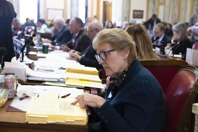 Montana House endorses $16.6 billion budget after daylong debate