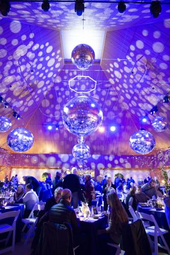 Chicago Botanic Garden Lightscape preview party. (Chicago Botanic photo)