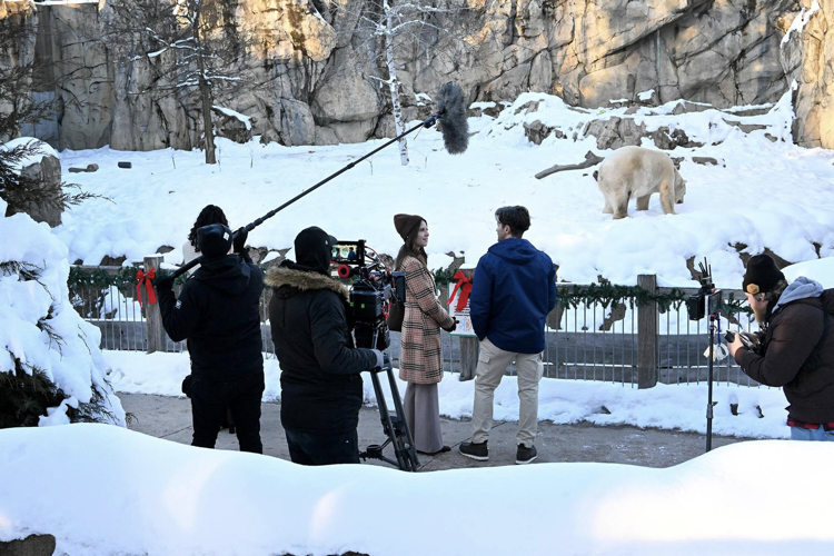 Brookfield Zoo Chicago to star in new holiday movie on Tubi image three
