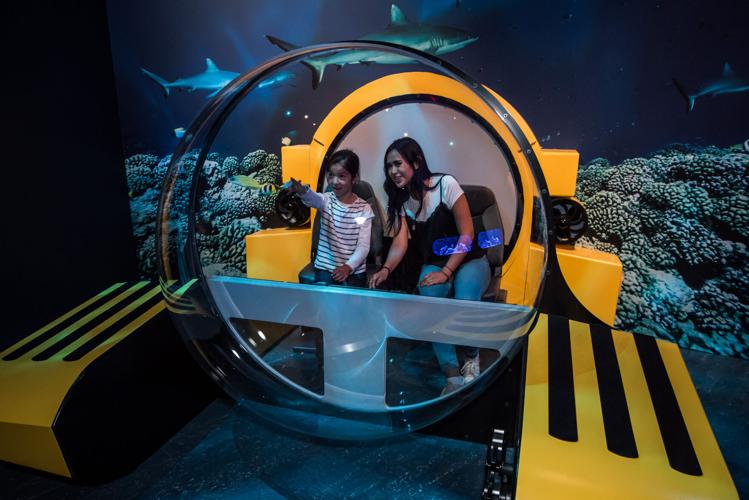 Field Museum's Unseen Oceans exhibition. (Photo by Denis Finnin for Field Museum)