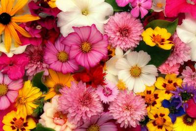 flowers