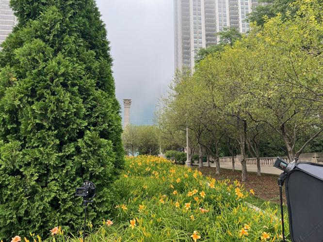 Fog rolling in before the rain. (Photo | Candace Jordan)