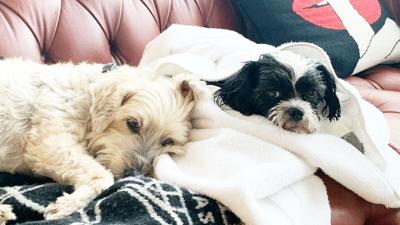 Luna and Teddy