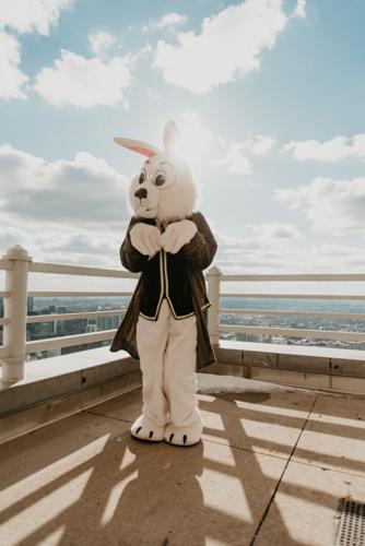 After two years, The 900 Shops' beloved Easter Bunny hops back for visits.