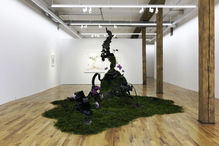 Human-Nature Weinberg Newton Gallery