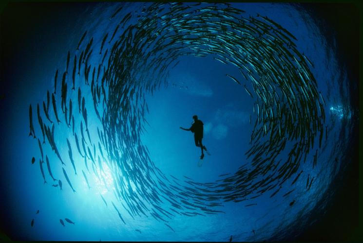 national geographic live