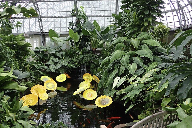 Chicago conservatories bloom in Spring 2026 Three