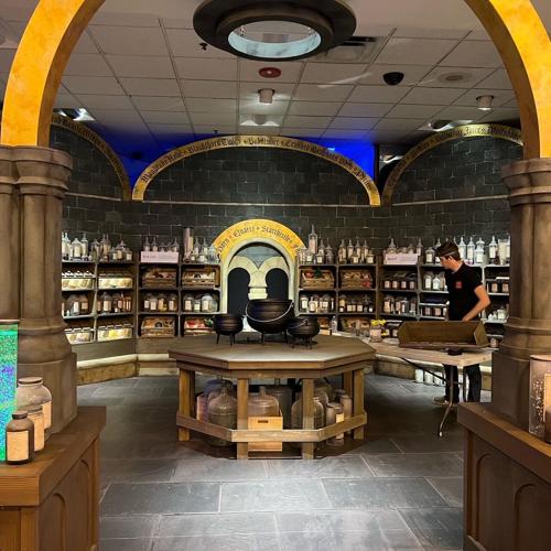 "Harry Potter: Magic at Play" experience at Water Tower Place beginning Nov. 11. (Potions class)
