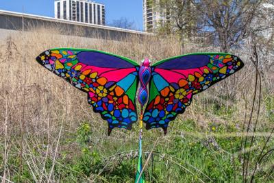 Peggy Notebaert Nature Museum brings “Flight of Butterflies” exhibition to parks citywide