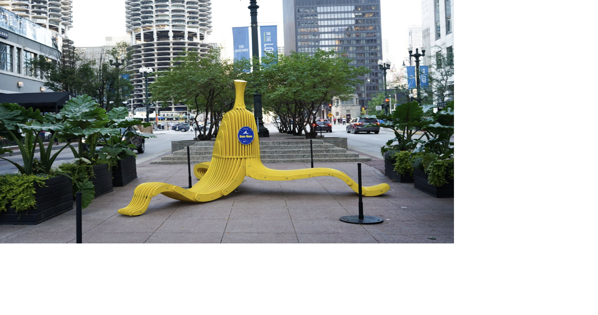 Chicago Loop Alliance Enteractive State