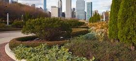 grant park