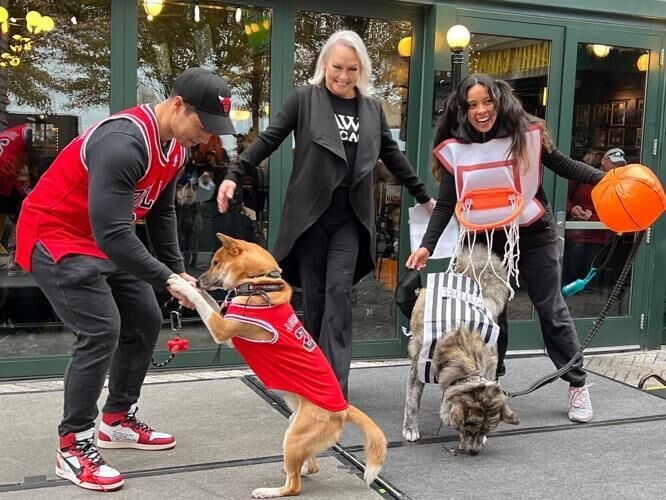 Candace Jordan returns as host of Harry Caray's Tavern at Navy Pier's Howl-O-Ween pet costume contest. (Photo | Harry Caray's)