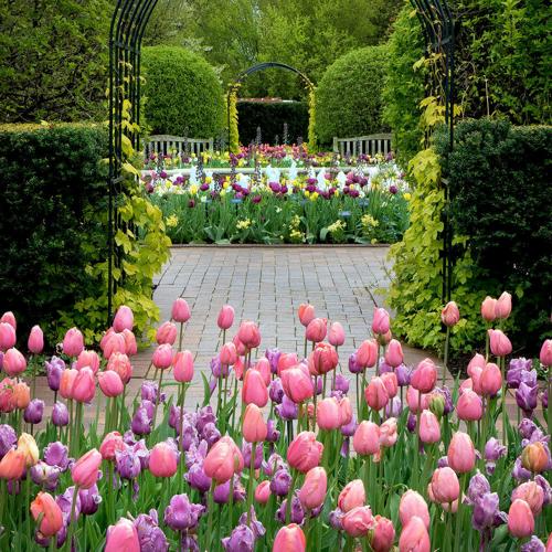 Chicago Botanic Garden's "Circle Garden" of spring flowers. (Photo | Chicago Botanic)