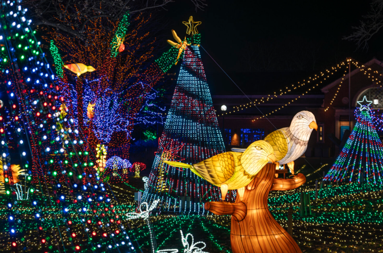 ZooLights returns to the Lincoln Park Zoo Events