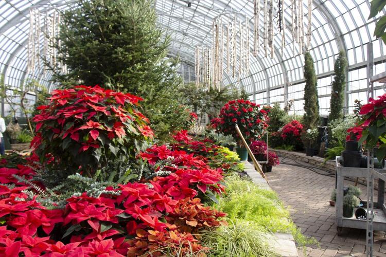 Knock Knock flower show Garfield Park Conservatory