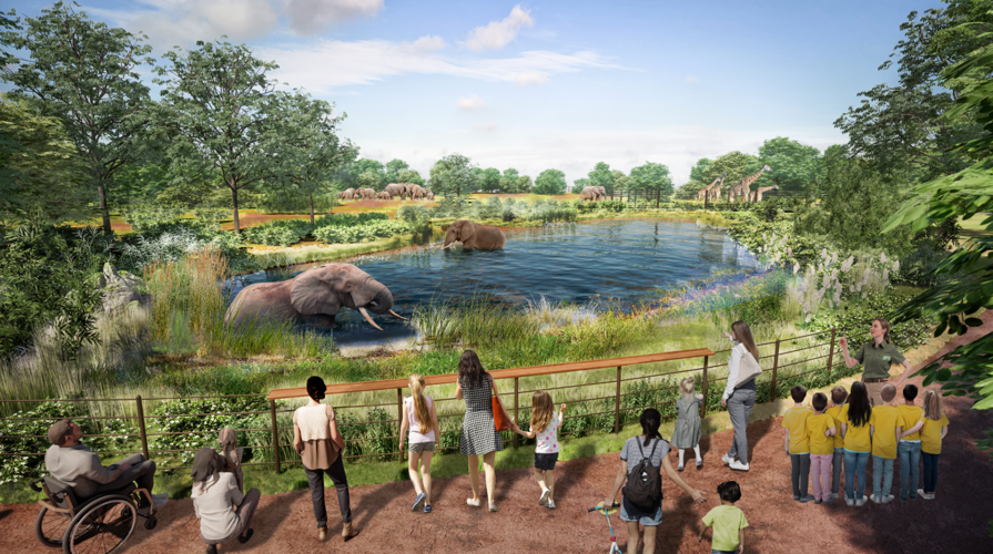 Brookfield Zoo releases details of transformative $500 million development plan 3