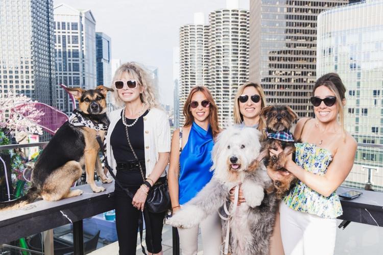 LH Wooftop Pawty 2024. (Photo LH)