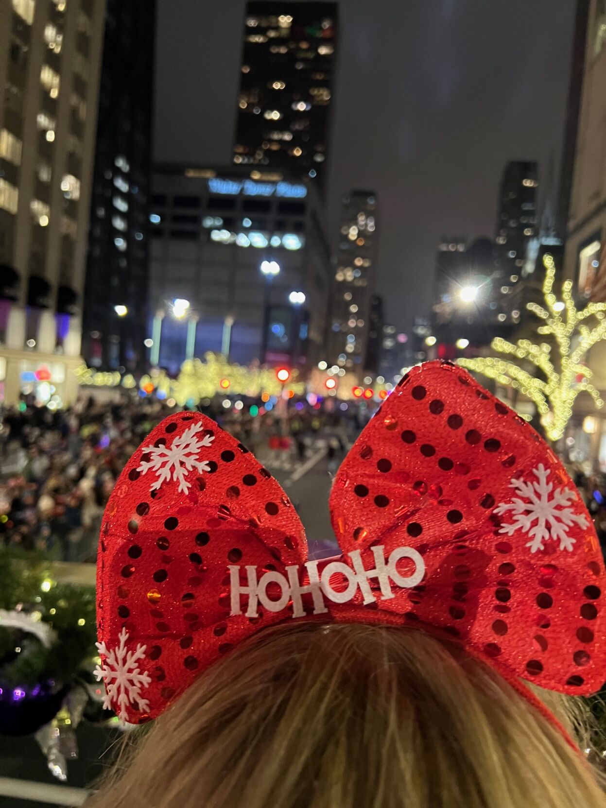 Lisa Fielding wearing her festive hat as the parade moves down Michigan Avenue. (Photo by Candace Jordan)