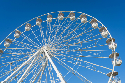 What’s new at the Brookfield Zoo: Koalas, an Easter extravaganza, and a Ferris wheel