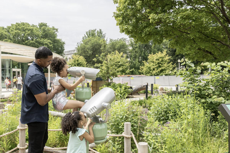 Shedd Aquarium opens Nature Exploration Garden image two