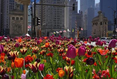 Spring into Illinois: Office of Tourism’s new campaign wants visitors to enjoy it all