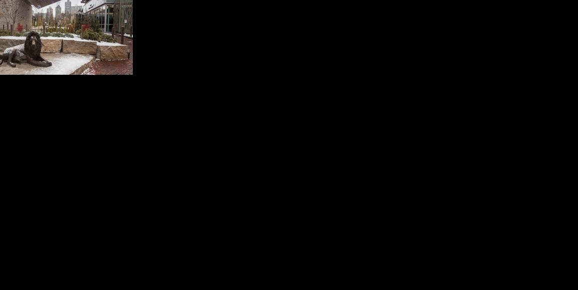LPZ
