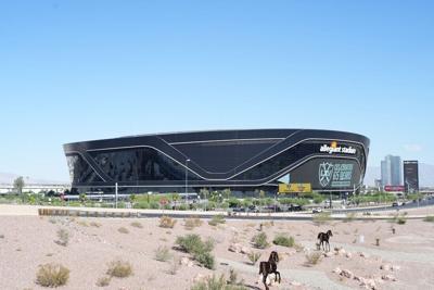 NFL: Carolina Panthers at Las Vegas Raiders
