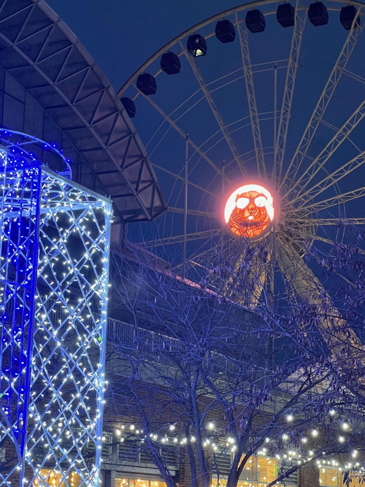 Groundhog Chicago Harry featured on Centennial Wheel. (Photo by Candace Jordan)