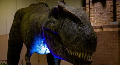 Massive dinosaurs and dragons on their way to Chicago