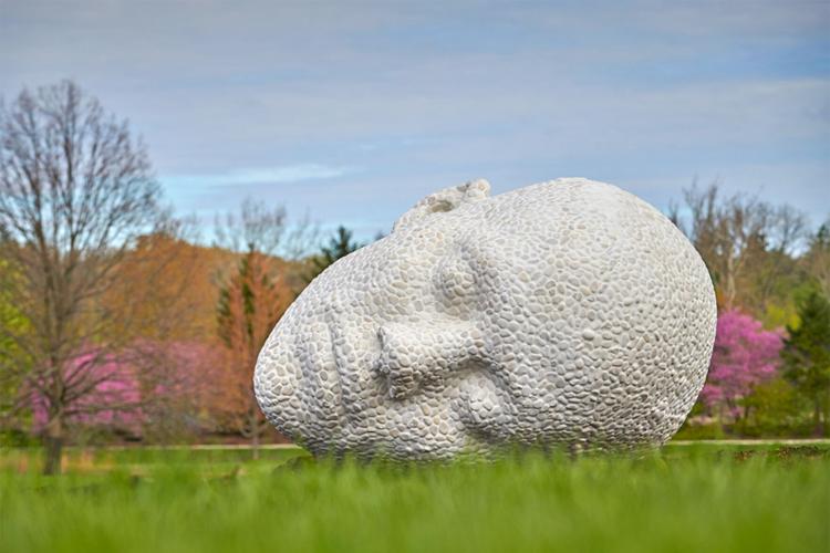 Morton Arboretum