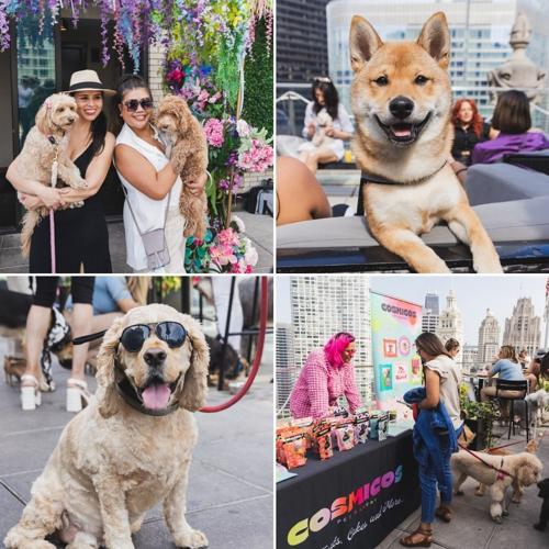 LH Wooftop Pawty 2024. (LH photos)