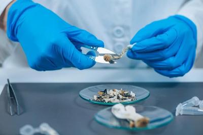 Psilocybin Shows Effectiveness in Curbing Anorexia