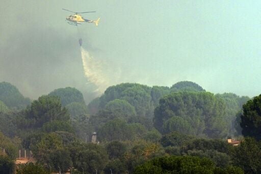Dozens of aircraft are in use in Spain to battle fires