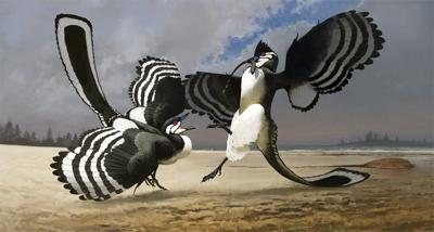 Illustration of a pair of Archaeopteryx. (Courtesy of Field Museum)