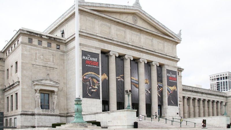 Chicago Field Museum