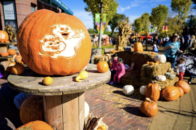 Chicago’s top Halloween events for spooky season image one