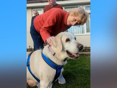 dogreunion_featured