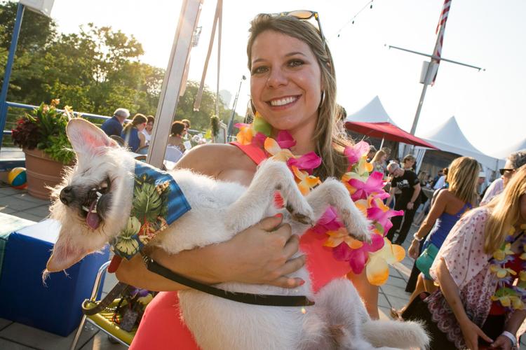 Alexis Fasseas (PAWS Chicago co-founder), with dog Payton, at the PAWS Chicago Beach Party at North Avenue Beach in 2015. (Hilary Higgins photo)
