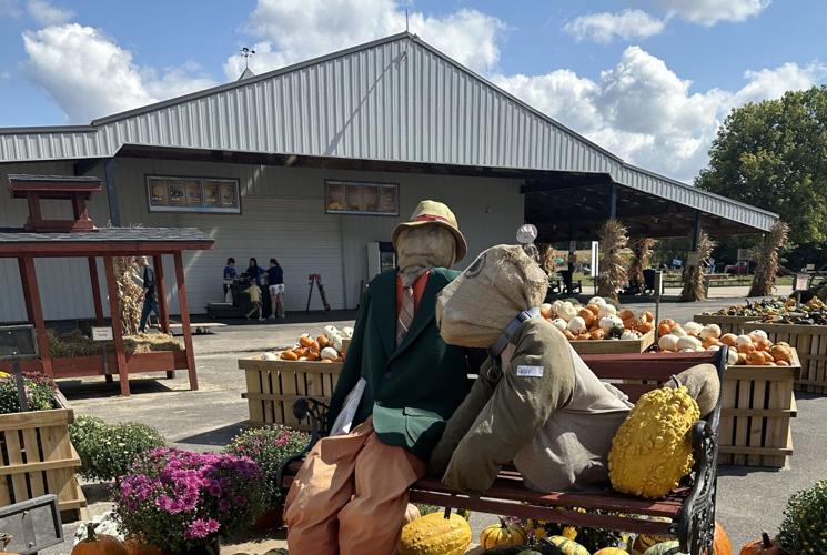 Let's Go with Catie Keogh and embrace autumn's charm in Wisconsin 3