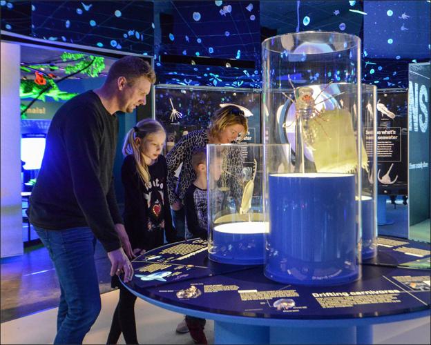 Field Museum - Unseen Oceans exhibition. (Photo by Roderick Mickens AMNH courtesy of Field Museum)