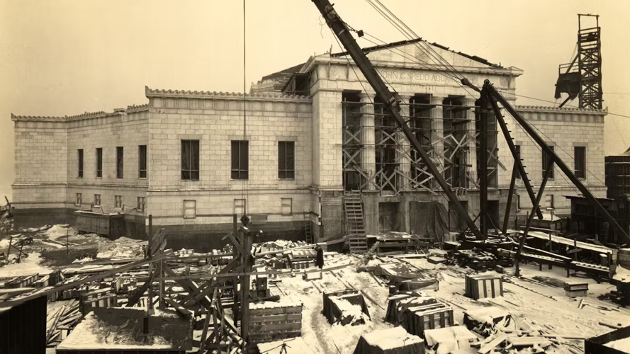 Shedd Aquarium turns 95, shares rare glimpses into its archival opening photos three