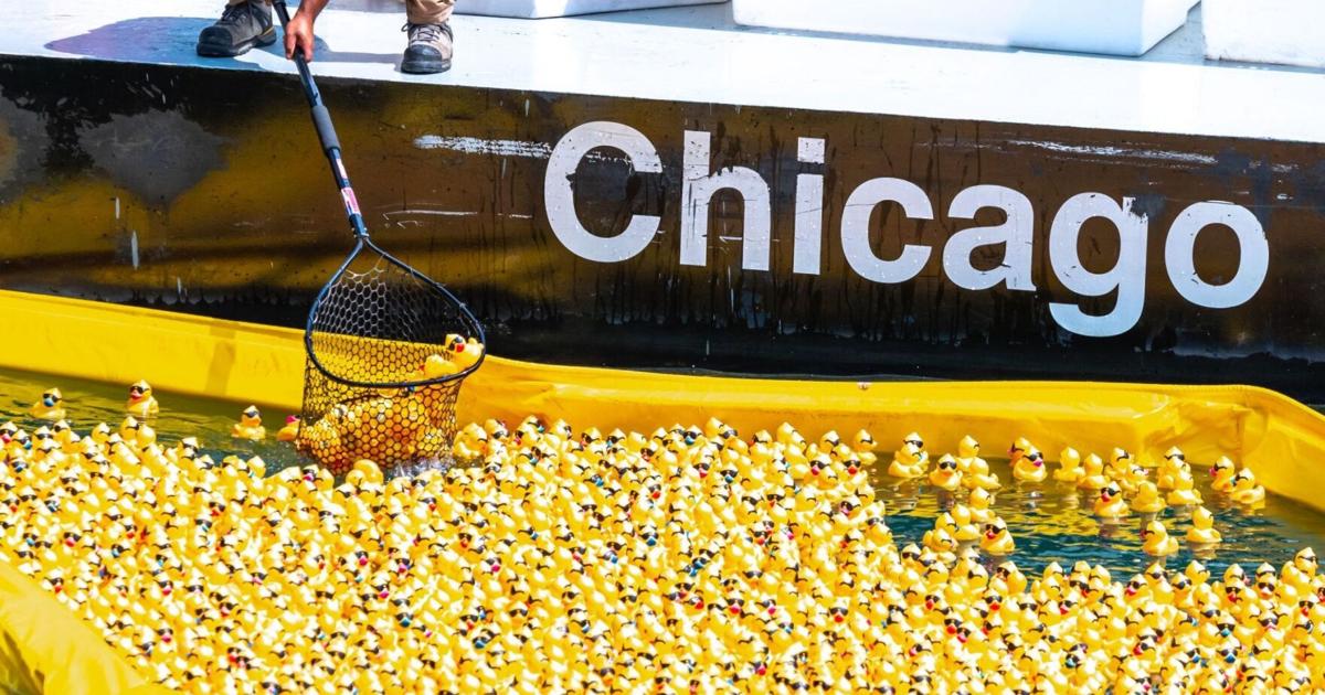Chicago Ducky Derby 2025