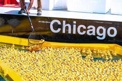 Duck, duck, race! Chicago’s annual Ducky Derby returns