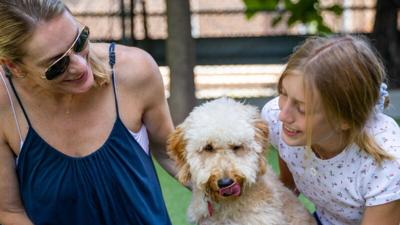 Dog Park1