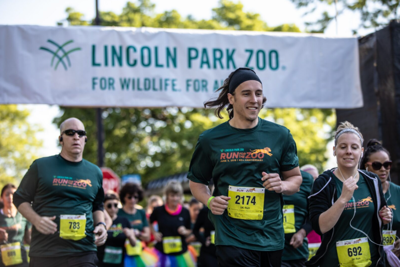 Lincoln Park Zoo’s ‘Run for the Zoo’ returns this summer and registration is open now