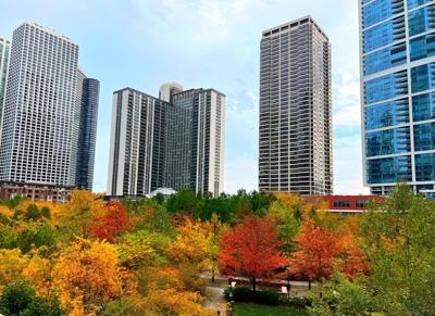 Discover fall foliage in Illinois with the annual Fall Colors Trip Planner
