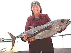 Fish & Feathers: Striped marlin, yellowtail tuna hooked off Washington coast!